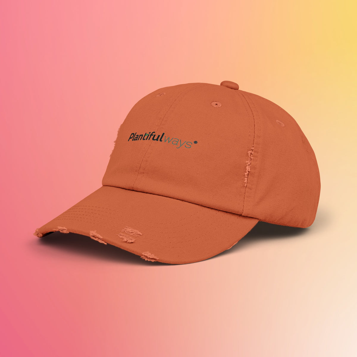 Unisex Distressed Cap