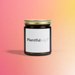 Scented Coconut Apricot Candles (4oz, 9oz)