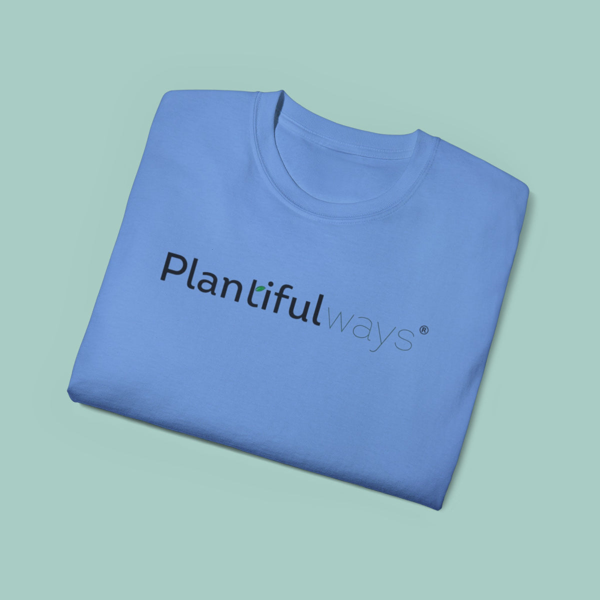 Unisex Ultra Cotton Tee