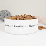 Pet Bowl