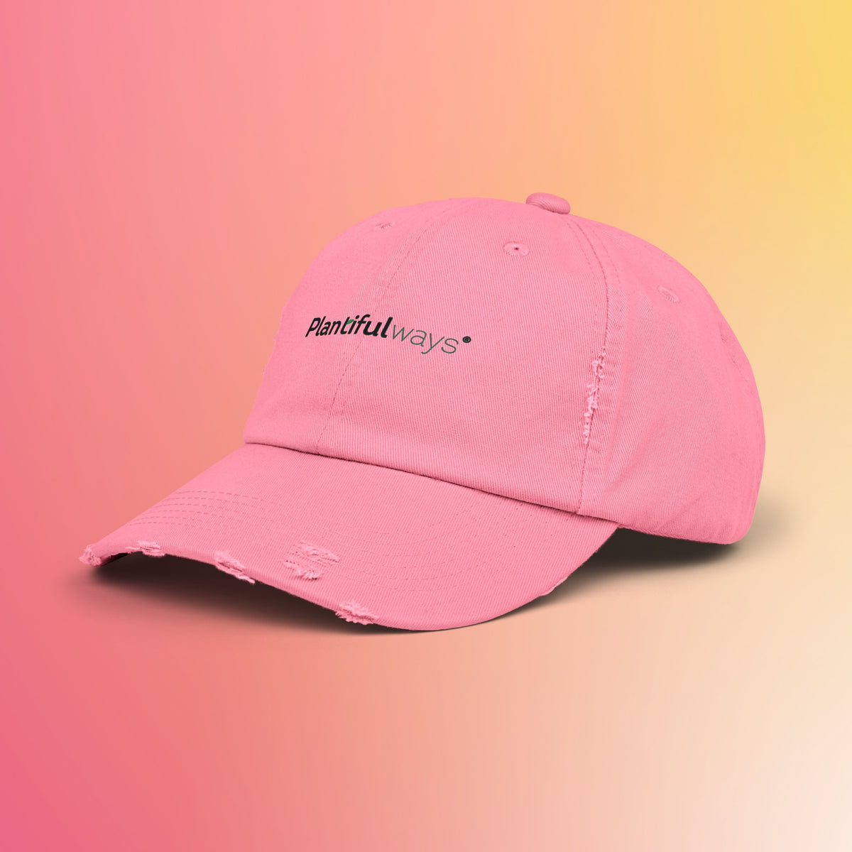 Unisex Distressed Cap