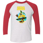 NL6051 Tri-Blend 3/4 Sleeve Raglan T-Shirt