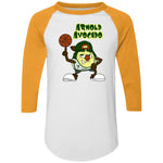 4420 Colorblock Raglan Jersey