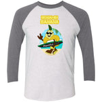 NL6051 Tri-Blend 3/4 Sleeve Raglan T-Shirt