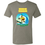 NL6010 Men's Triblend T-Shirt