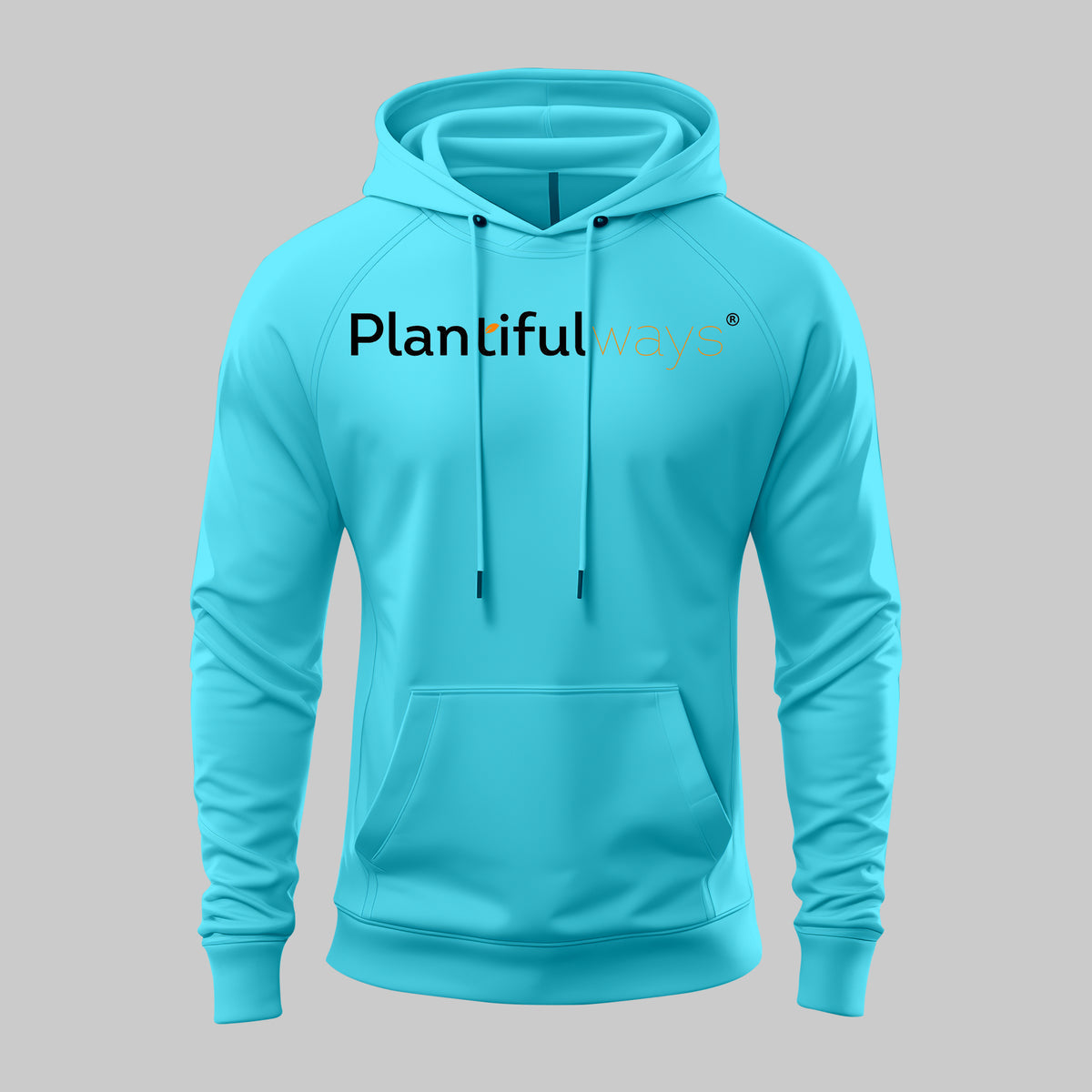 Planiful Hoodie