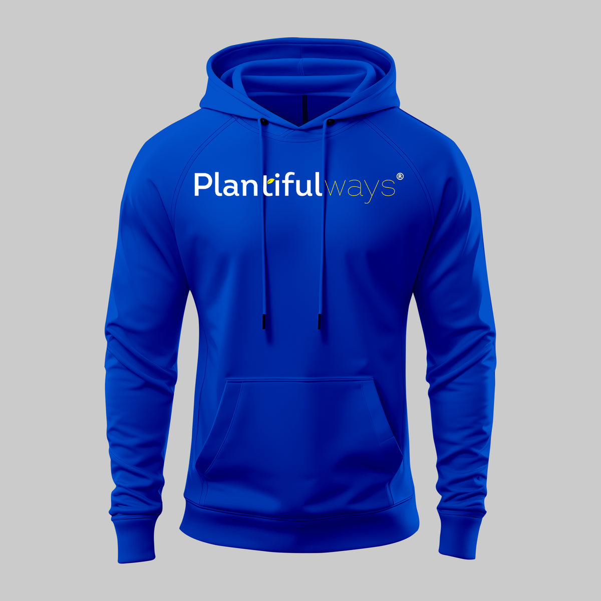 Planiful Hoodie