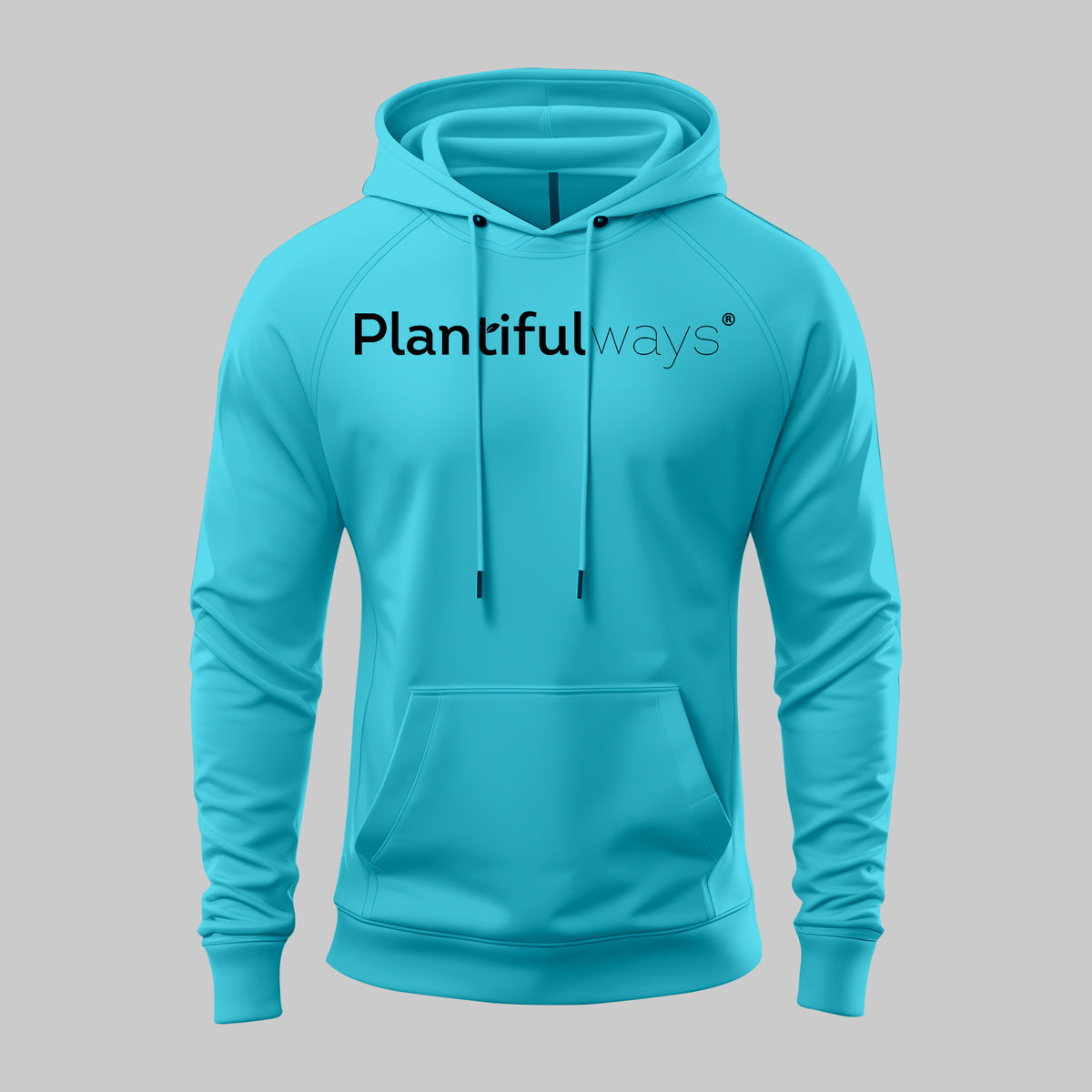 Planiful Hoodie